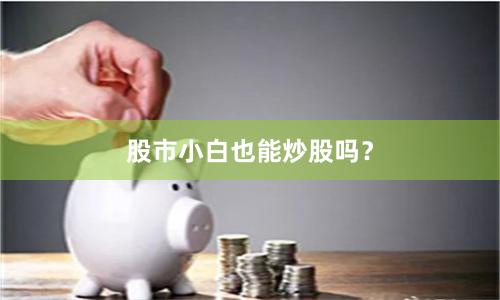 股市小白也能炒股吗？