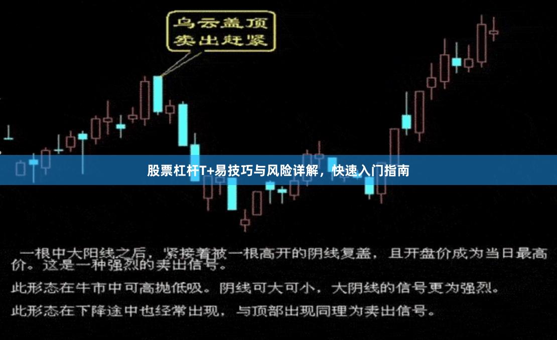 股票杠杆T+易技巧与风险详解，快速入门指南