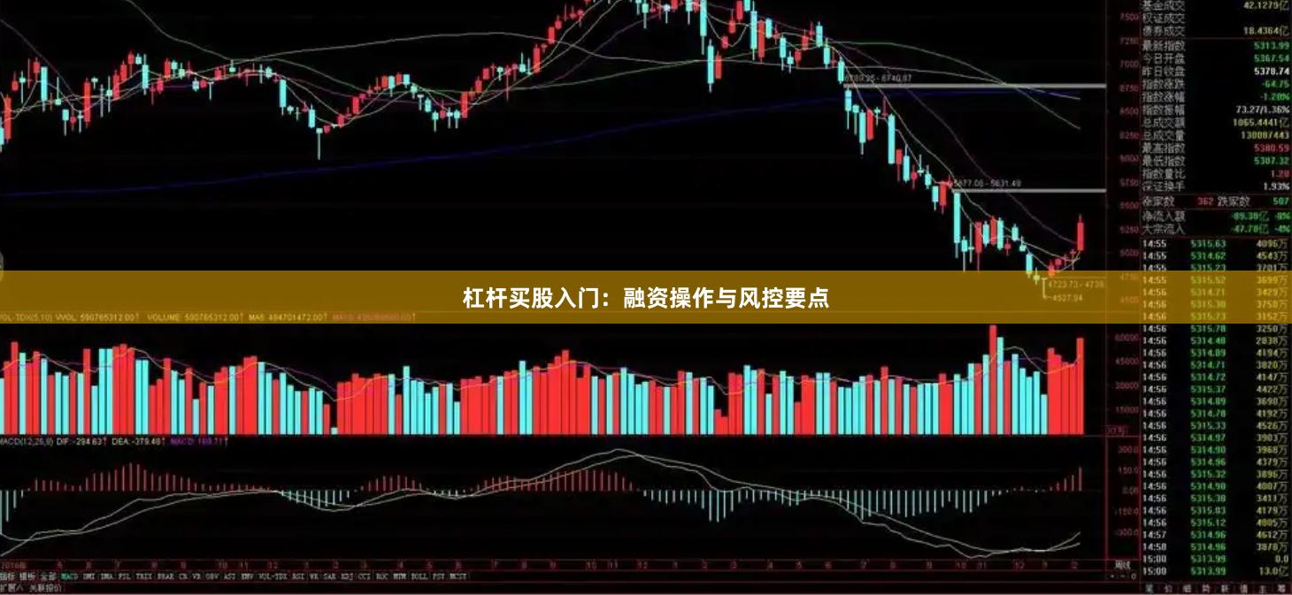 杠杆买股入门：融资操作与风控要点