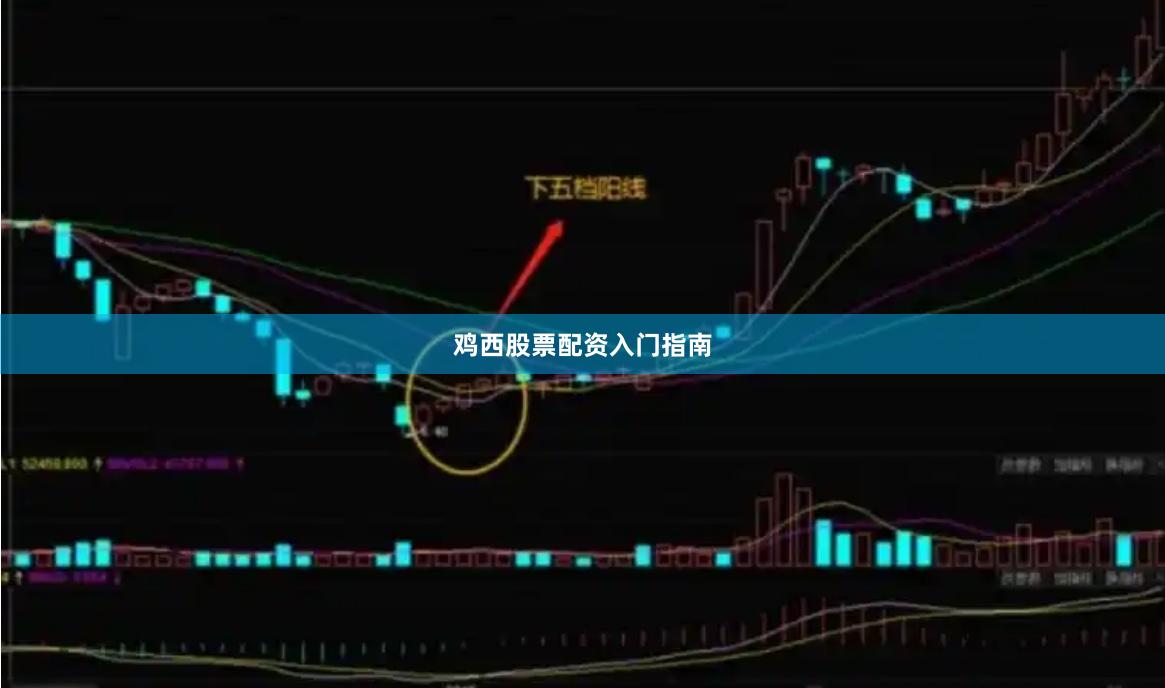 鸡西股票配资入门指南